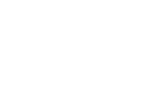  81% of MPs have experienced aggressive or intrusive behavior