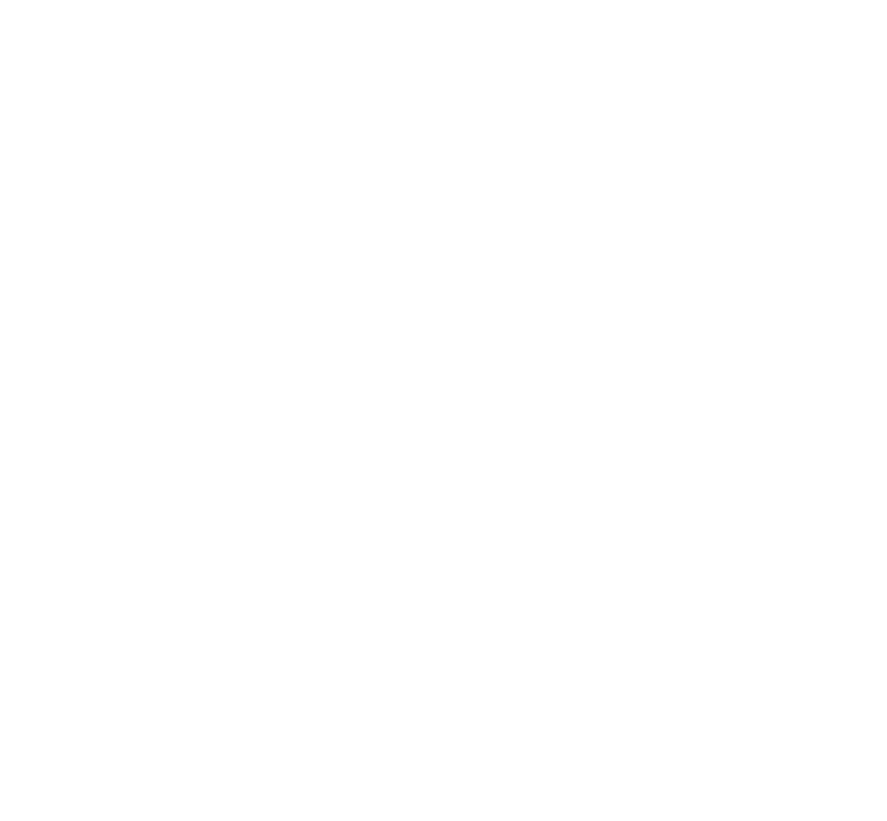 81