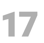 17