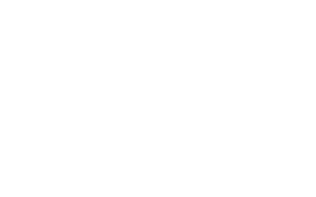 www.strongdor.com